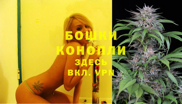 сатива Балабаново